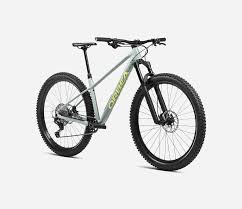 Image result for Orbea knobelii