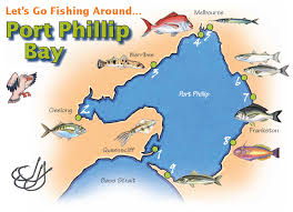 Go Fishing Port Phillip Bay Vfa