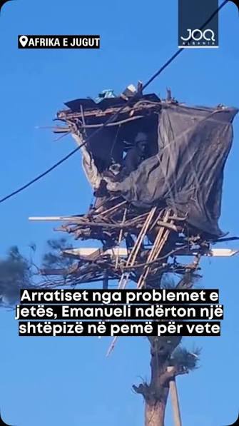 Një burrë nga Durban, Afrika e Jugut, është bërë viral në rrjetet sociale  pasi ka ndërtuar një strehë të improvizuar pranë majës së një pishe të  lartë, përballë shtëpisë së tij., Emmanuel Dube, i ...
