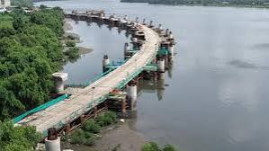 Thane Coastal Road-2: Maharashtra Coastal Zone Authority clears project, 680 mangroves to be lost permanently