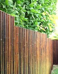 Hierzulande erreichen fargesien wuchshöhen zwischen 2 bis 6 meter und entwickeln dabei halme mit bis zu 2,5 cm durchmesser. De Commerce Robuster Bambus Holz Sicht Schutz Zaun Aty Nigra Hochwertiger Windschutz Terrasse Balkon Garten Bambusrohr Zaun Mit Geschlossenen Rohren Hxb 90 Cm X 250 Cm Amazon De Garten