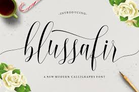 Z y m m amadeus bright ideas 1 style. Blussafir Script Font Free Fonts Download