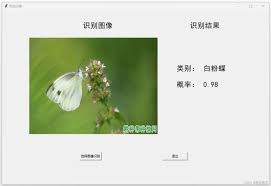 python-深度学习之基于Pytorch的昆虫分类识别系统_游戏逆向|游戏 ...