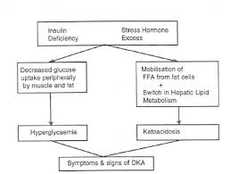 This chapter focuses on the medical side. 8 2 Ketoacidosis