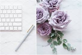 Lavender Blogger Bundle Gorgeous Calligraphy Some Funny Jokes Funny Captions