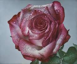 Then put the engraving tool in the machine. Delicate Hyper Realistic Paintings Of Roses By Gioacchino Passini Designwrld