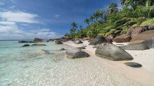 Seszele » wyspa praslin » grand anse. Wybrzeze Wyspy Silhouette Na Seszelach