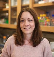 Members of The Sosnick Group at The University of Chicago