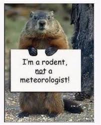 Lovethispic Com Happy Groundhog Day Groundhog Day Groundhog Get your laugh on to these 17 funny. lovethispic com happy groundhog day