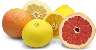 Image result for Grapefruit