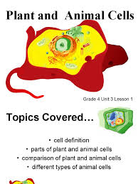 We did not find results for: Lesson Plant Animal Cells And Comparison Eukaryotes Biology