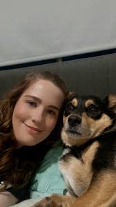 UPDATE: FOUND !!! Safe and sound 🫶🏻🥹 HELP PLZ SOMEONE HAS TAKEN MY DOG  SOMEWHERE AROUND THE NORTH GOSFORD AREA HES A KELPIE CROSS ANSWERS TO BUDDY  IF ANYONE SEES A POSTS