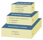 Image result for what are treatment options for acute pain