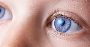 Augenkrebs Focus Arztsuche