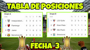 Tabla de posiciones liga pro 2020. Tabla De Posiciones Y Resultados De La Copa Libertadores 2020 Fecha 3 Youtube