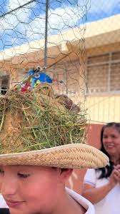 Sombreros Locos Niños Creativo Tractor