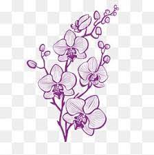 Hand Painted Purple Orchid Vector Plant Hand Painted Plants Purple Png Transparent Clipart Image And Psd File For Free Download Free Watercolor Flowers Purple Orchids Flower Png Images