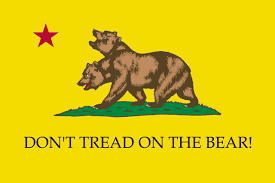 Jul 27, 2021 · ncri is a broad coalition of democratic iranian organizations, groups, and personalities providing current iran news now and iranian opposition news and headlines. Treading On The Ncr Bear Almost Makes You Wish For A Nuclear Winter Gadsden Flag Don T Tread On Me Know Your Meme