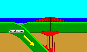 Fun Facts About Subduction Zones Subduction Zone Dolphins