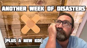 Stunning koi at KWB and MASSIVE koi at Adam Byers koi farm! A great laugh &  a cheeky purchase.