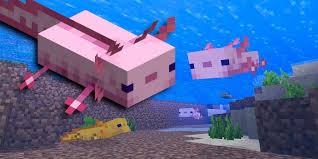 Breed your blue axolotl with another axolotl of any kind and there is a 50% chance. Minecraft How To Breed Axolotl Game Rant
