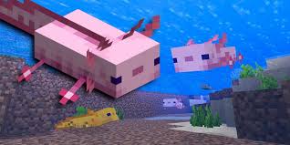 How long does it take for an axolotl to spawn in minecraft? Minecraft How To Breed Axolotl Game Rant