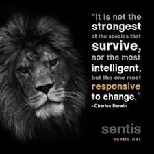 Quotes on Pinterest | Innovation, Teamwork and Leadership via Relatably.com