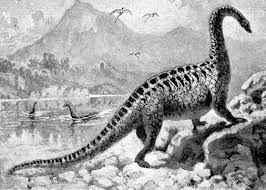 Amphicoelias Fragillimus The Biggest Dinosaur That Ever Lived On Earth Animales Extintos Dinosaurios Imagenes Animales Prehistoricos
