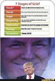 「Trump meme I am growing stronger」の画像検索結果
