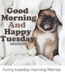 Good morning monday work meme good names for private instagram accounts good morning monday memes funny good morning need coffee meme. Good Morning And Happy Tuesdla Via Lovethispiccom Funny Tuesday Morning Memes Funny Meme On Me Me