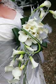 A brilliant cally lily bouquet of mauve mini cala lilies with a purple ribbon. Brautstrauss Callas Grosse Bildergalerie Mit Inspirationen Wedding Bouquets Wedding Bouquet