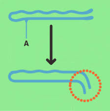 How To Pick A Master Lock With A Bobby Pin Picker Of Locks Bobby Pin 1 Bobby Pins Lock Picked