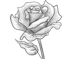 1001 Modeles Et Conseils Pour Apprendre Comment Dessiner Une Rose Dessin Rose Comment Dessiner Une Rose Dessin Rose Facile
