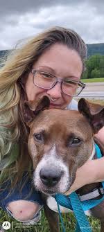 Lost dog Eris found safe in Mishawaka