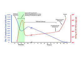 Evaluation And Management Of Acute Hiv Infectious Disease