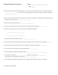 Cell energy flow chart worksheet tags cell energy worksheet from cellular respiration worksheet answers, source:cathhsli.org. Cellular Respiration Worksheet
