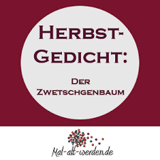 Vorlae kannst wählen zwischen zwei und vier kniffel gewinnkarten je seite. 7 Seniorenspiele Ideen Spiele Fur Senioren Aktivitaten Fur Senioren Aktivierung Senioren