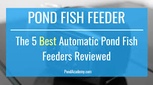 The 5 Best Automatic Pond Fish Feeders In 2019