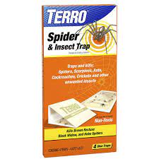 Camel crickets, also known as cave or spider crickets (diestrammena asynamora), love dark, damp places to live and reproduce. Terro Spider Insect Trap 4 Pack The Home Depot Canada