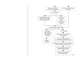 Schematic Pathophysiology Cva