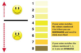 66 Matter Of Fact Urine Colour Chart Australia