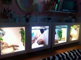 Pin On Terrarium