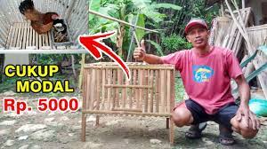 Sebenarnya cara membuat kandang ayam bangkok terbilang mudah, tidak membutuhkan teknik spesial, asal semua bahan telah tersedia, pasti siapa saja dapat membuatnya. Cara Membuat Kandang Merpati Sederhana Youtube