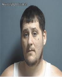 Greene County Jail Log