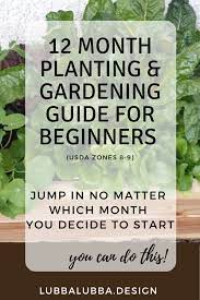 12 Maneders Plantering Og Hagearbeid Guide For Nybegynnere Usda Soner 8 9 Vegetable Planting Guide Vegetable Garden For Beginners Zone 8