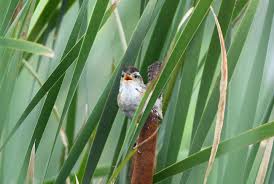 Calvin Keating (@ckeatingpictures) • Instagram photos and videos