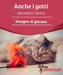 Anche I Gatti Domestici Hanno Bisogno Di Giocare Gatti Giochi Gattini