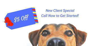 Maybe you would like to learn more about one of these? Specials Aussie Pet Mobile Greater Orlando