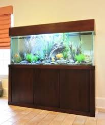 Merchandise, plakat, kepala perseneling mobil, hiasan kulkas, hiasan rambut, gelang, assesoris, liontin, dll. 10 Akuarium Ideas Aquarium Stand Fish Tank Stand Tank Stand