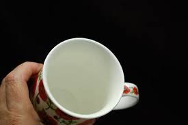 Mug Tea Edale Dunoon Jane Fern England